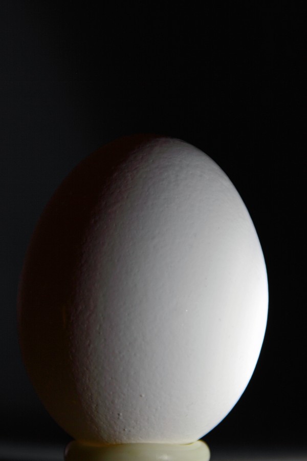 Egg-zactly One Egg